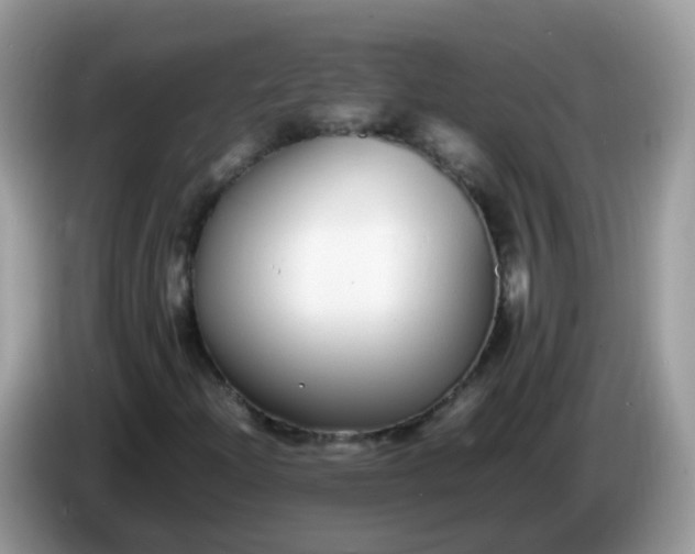 X0000086241204200704121927