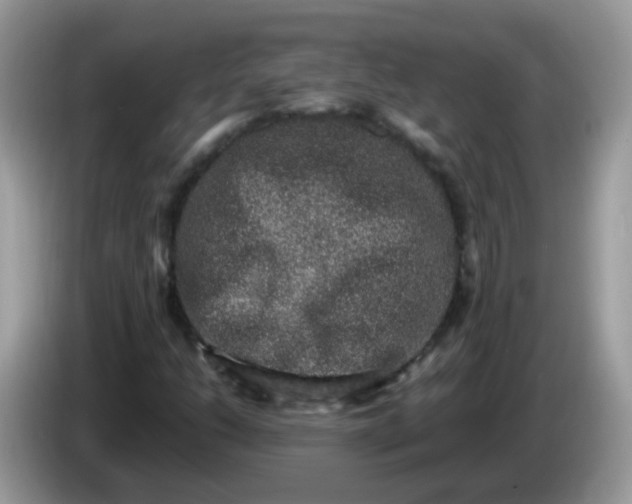 X0000086241206200704121927