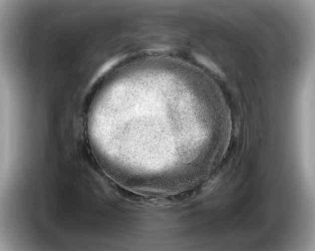 X0000086241208200704121927