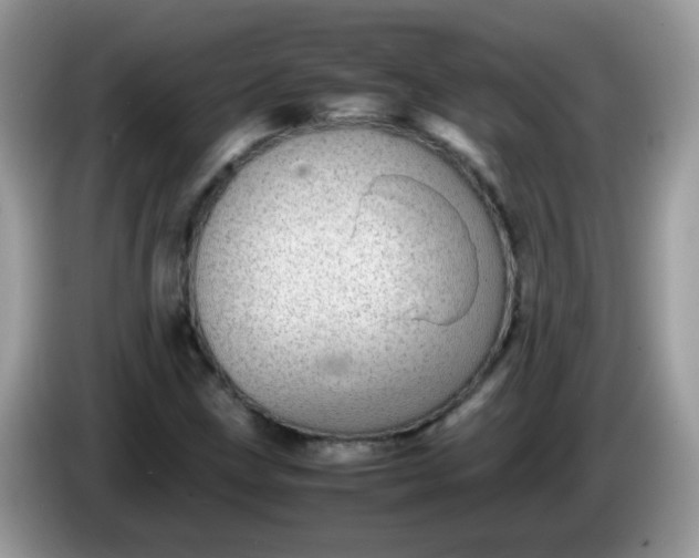 X0000086241211200704121927