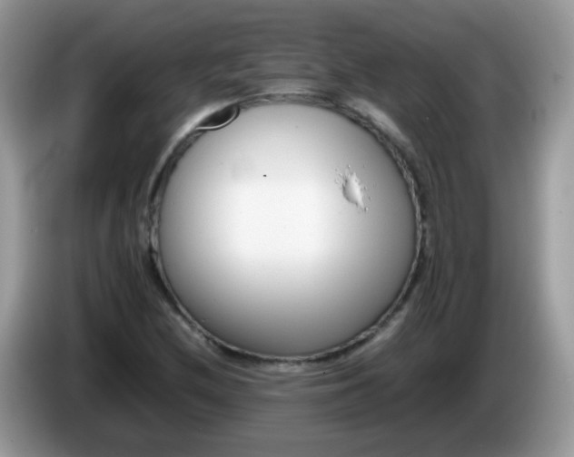 X0000086241212200704121927