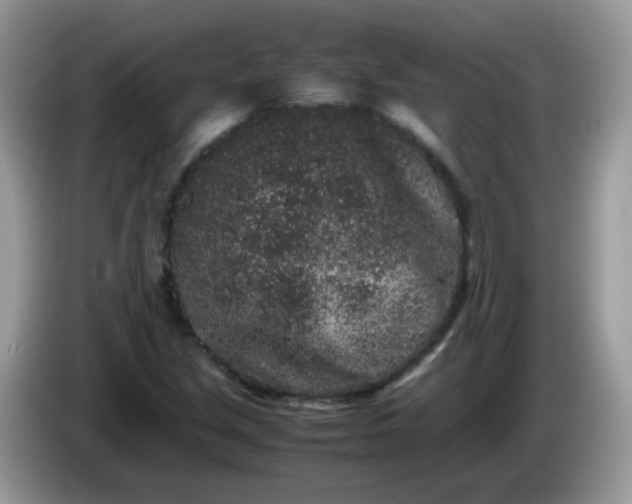 X0000086241213200704121927
