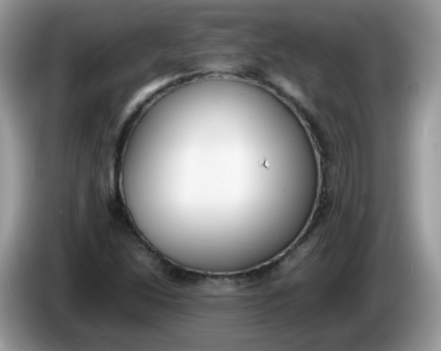 X0000086241214200704121927