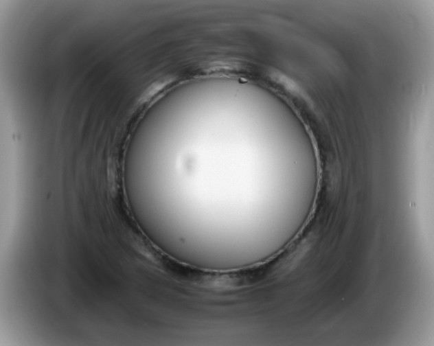 X0000086241217200704121927