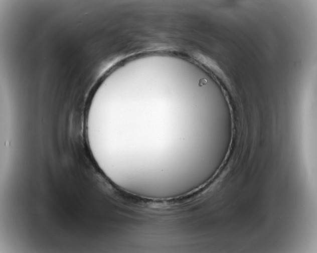 X0000086241220200704121927