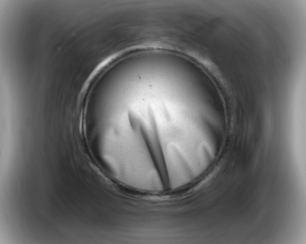 X0000086241224200704121928