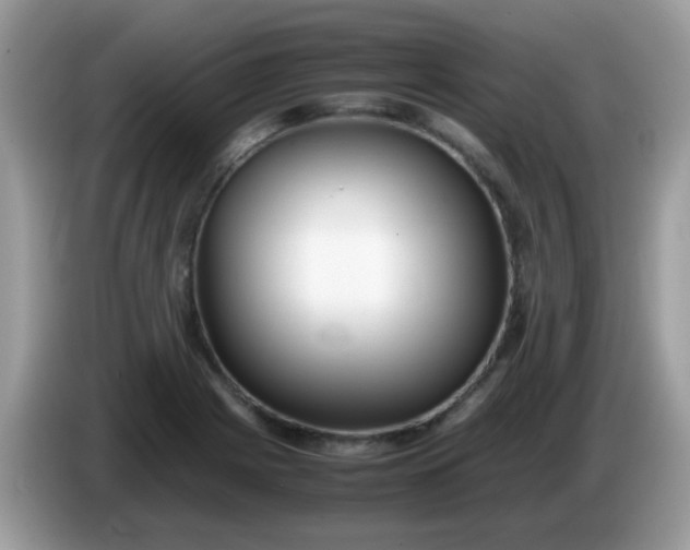 X0000086241225200704121928