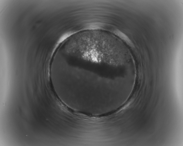 X0000086241226200704121928