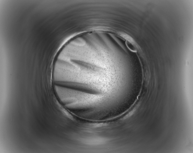 X0000086241228200704121928
