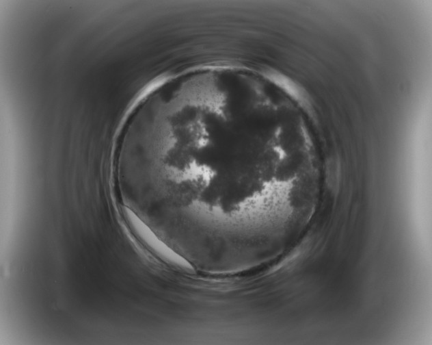 X0000086241229200704121928