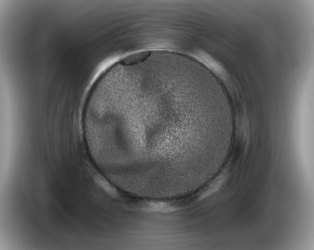 X0000086241230200704121928