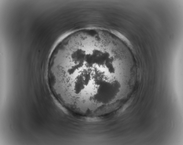 X0000086241231200704121928