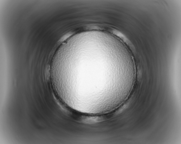 X0000086241233200704121928