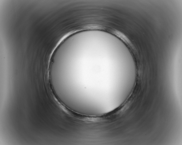 X0000086241236200704121928
