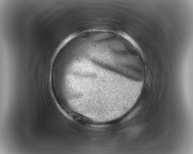 X0000086241237200704121928