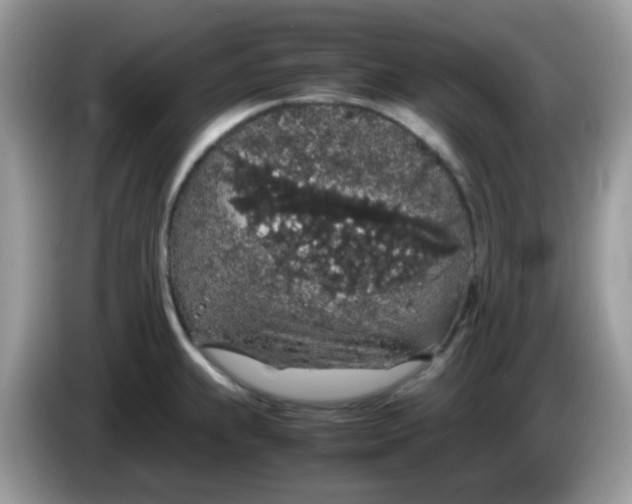 X0000086241239200704121928