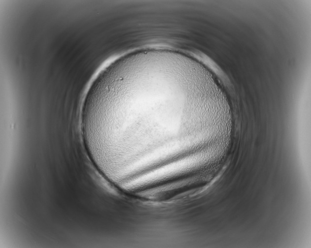 X0000086241240200704121928
