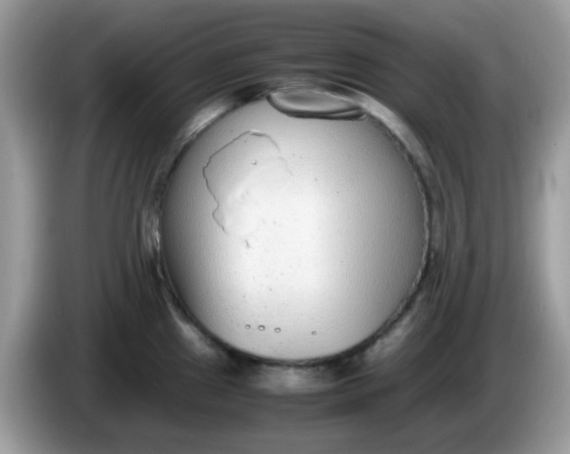X0000086241241200704121928