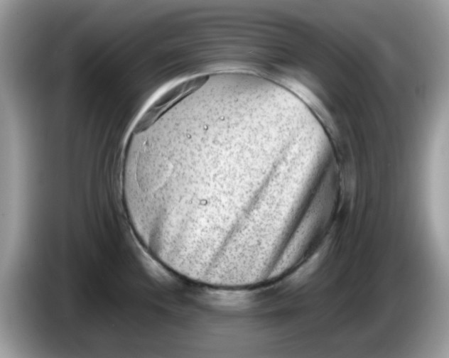 X0000086241244200704121928