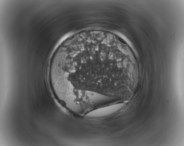 X0000086241245200704121928