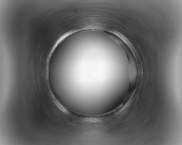 X0000086241246200704121928