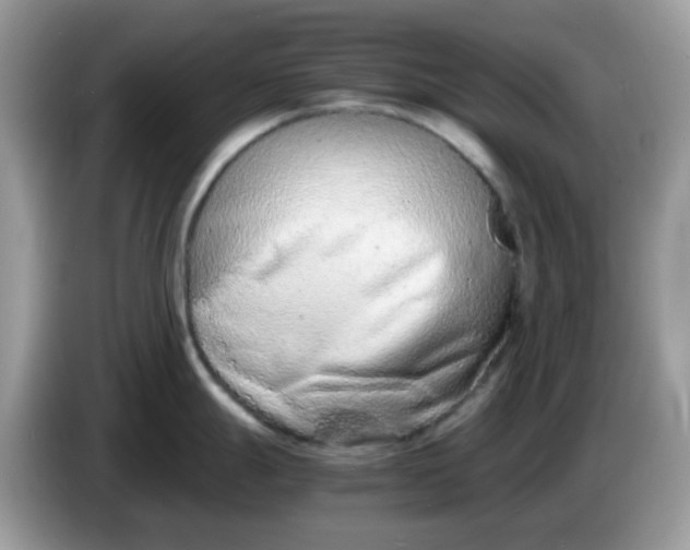 X0000086241247200704121928