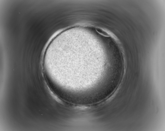 X0000086241248200704121928