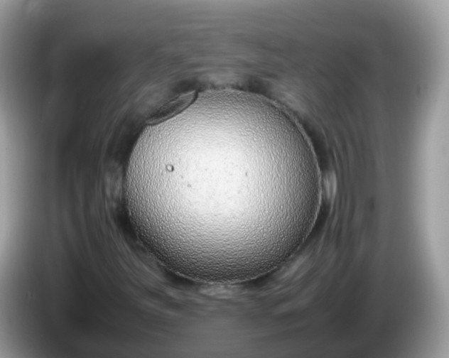 X0000086241251200704121927