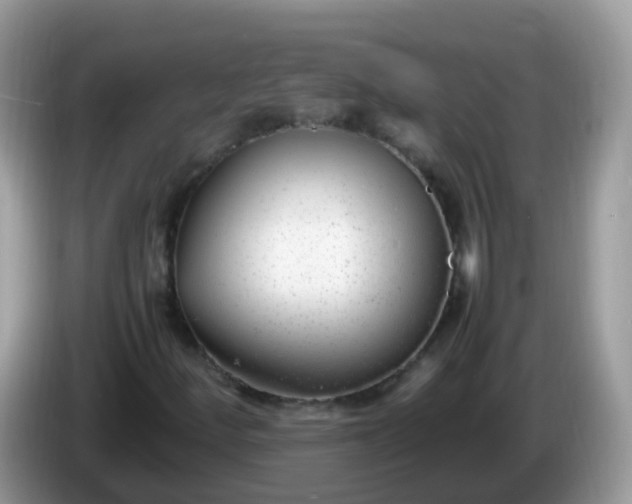 X0000086241252200704121927