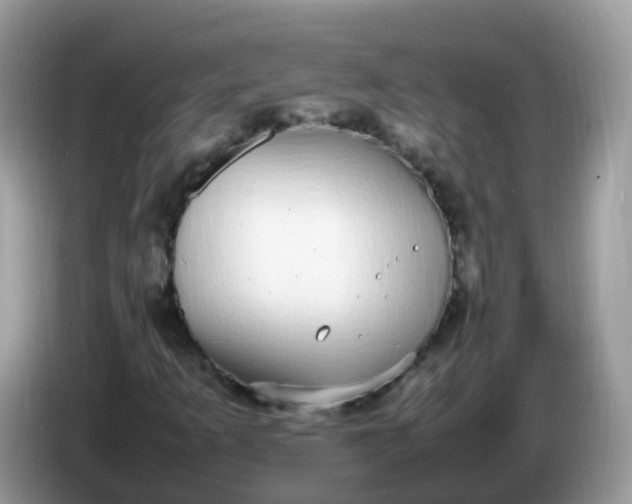 X0000086241253200704121927