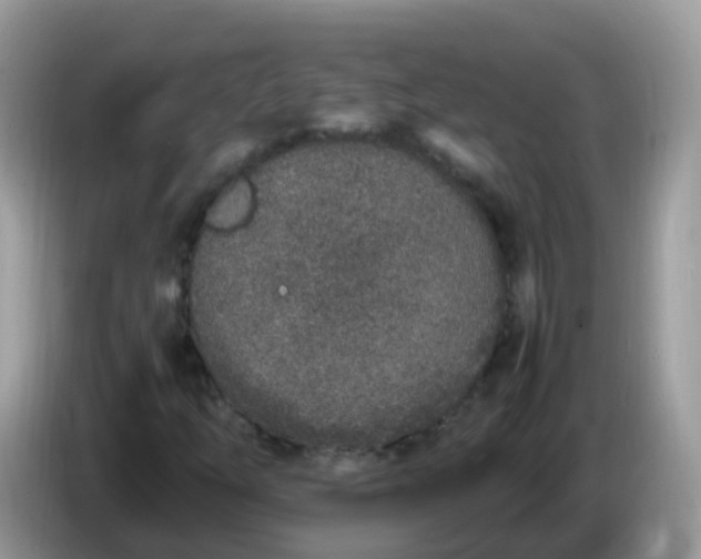 X0000086241254200704121927