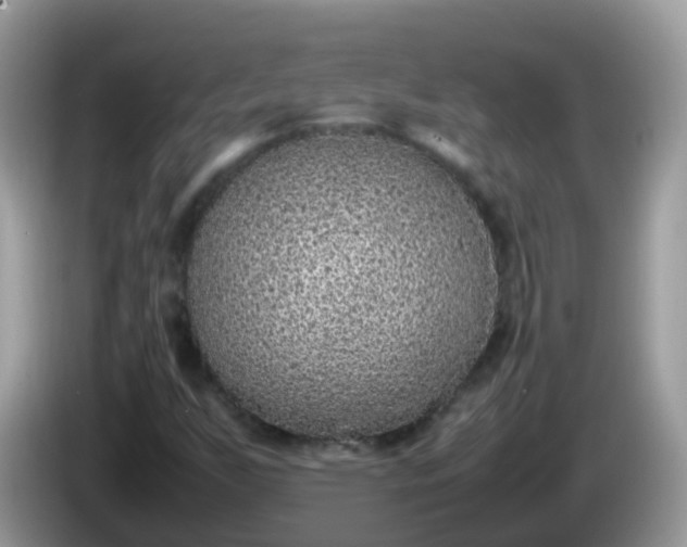 X0000086241255200704121927