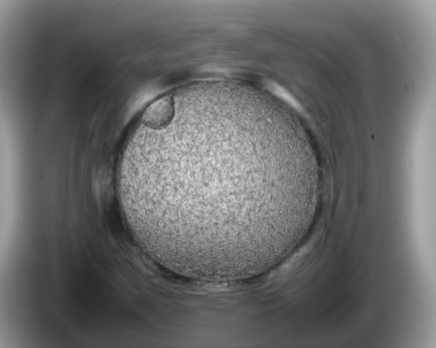 X0000086241259200704121927
