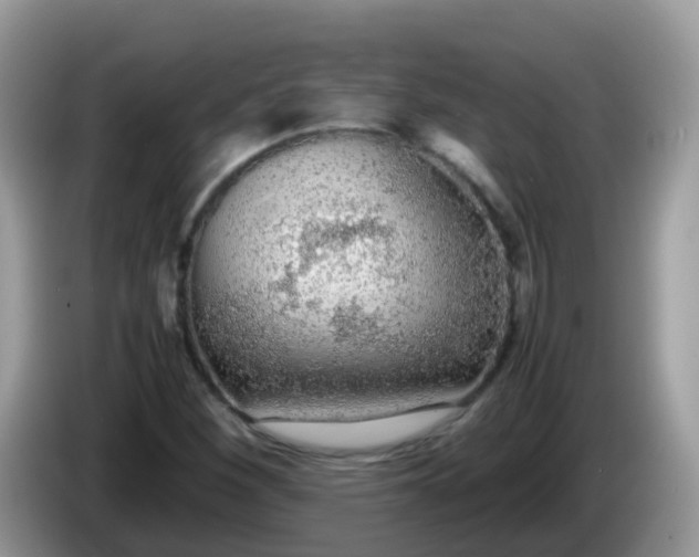 X0000086241260200704121927