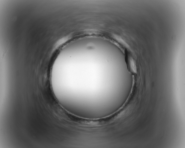 X0000086241261200704121927