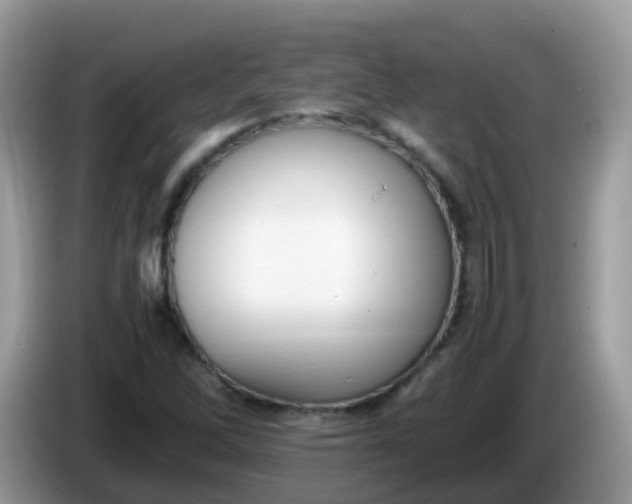 X0000086241262200704121927