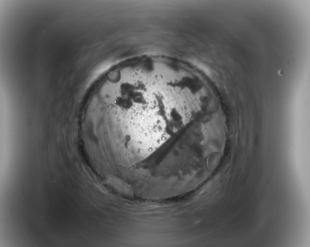 X0000086241263200704121927