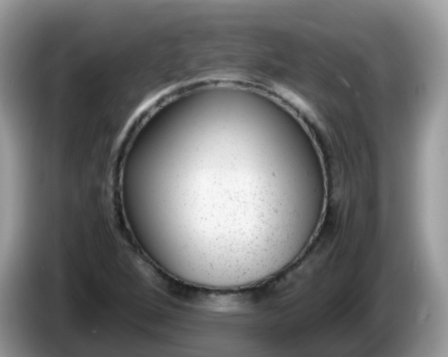 X0000086241264200704121927