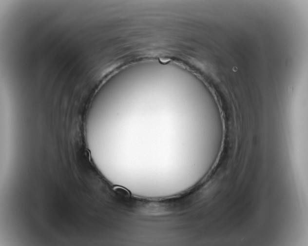 X0000086241265200704121927