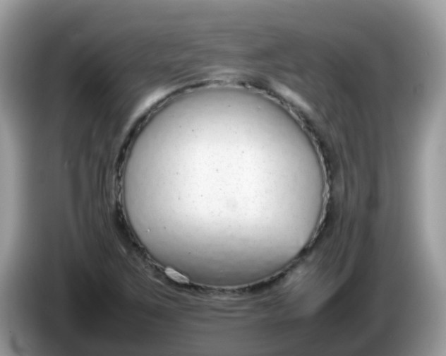 X0000086241267200704121927