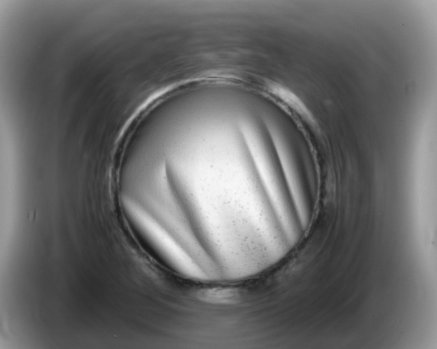 X0000086241268200704121927