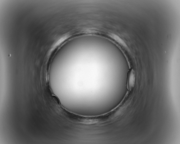 X0000086241269200704121927