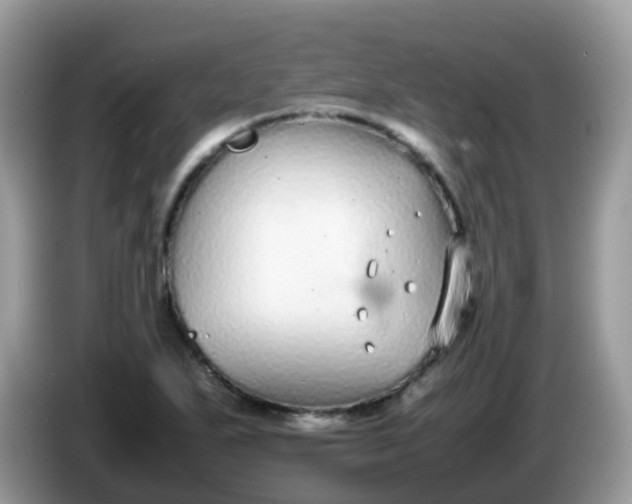 X0000086241271200704121927