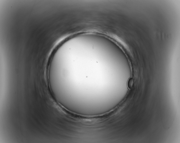X0000086241272200704121927