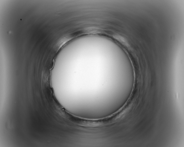 X0000086241273200704121927
