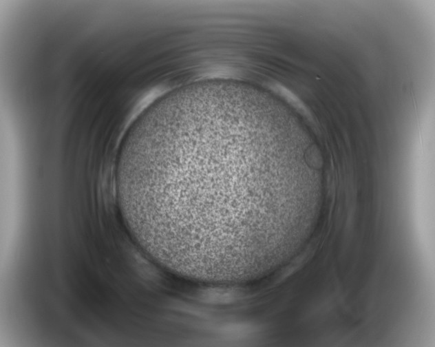X0000086241274200704121927