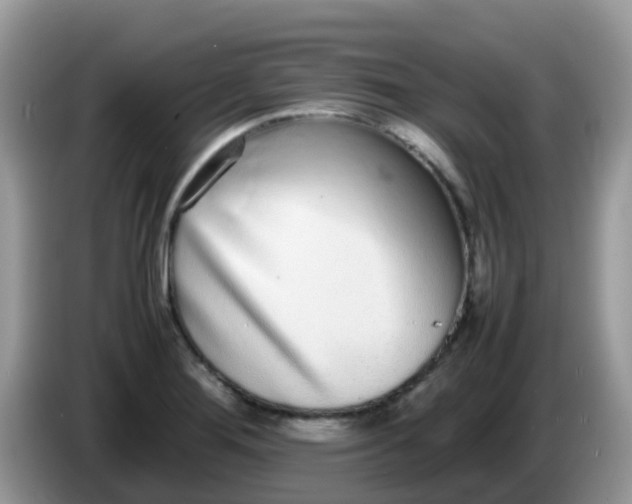 X0000086241276200704121927