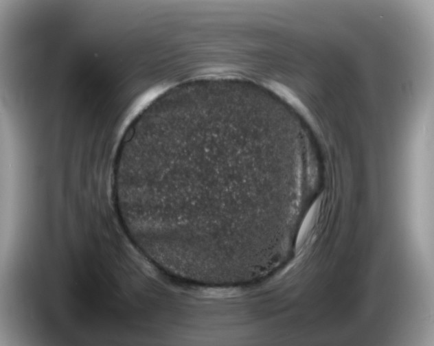 X0000086241277200704121927