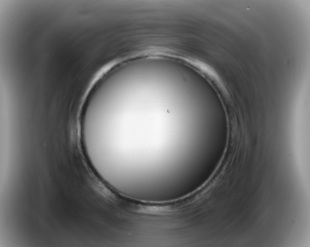X0000086241280200704121927