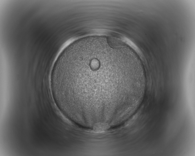 X0000086241283200704121927